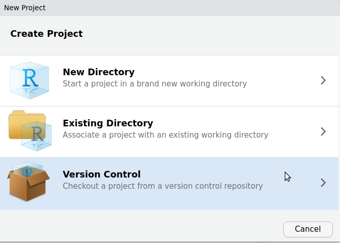 An image of the options given when creating a new project, highlighting that the 'Version Control' option should be selected for this project.