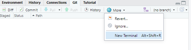 RStudio new terminal