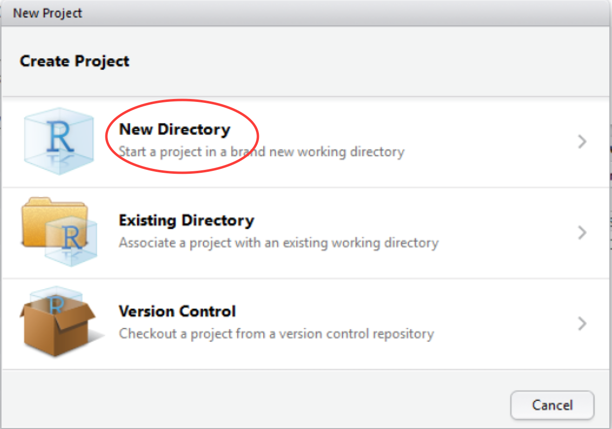 Create RStudio Project