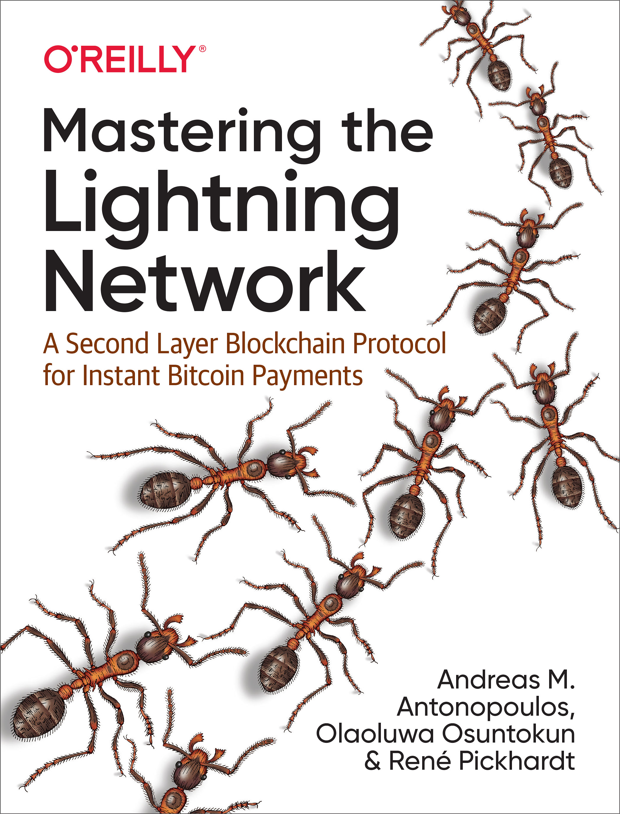 Cover image for Mastering the Lightning Network