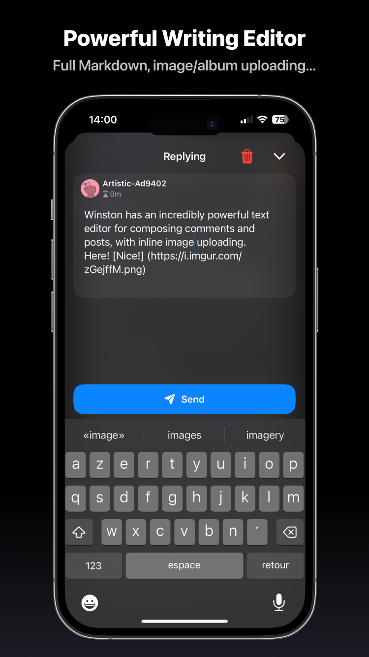 Winston for Reddit screenshot 4