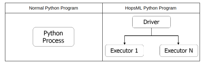 HopsML Python Program