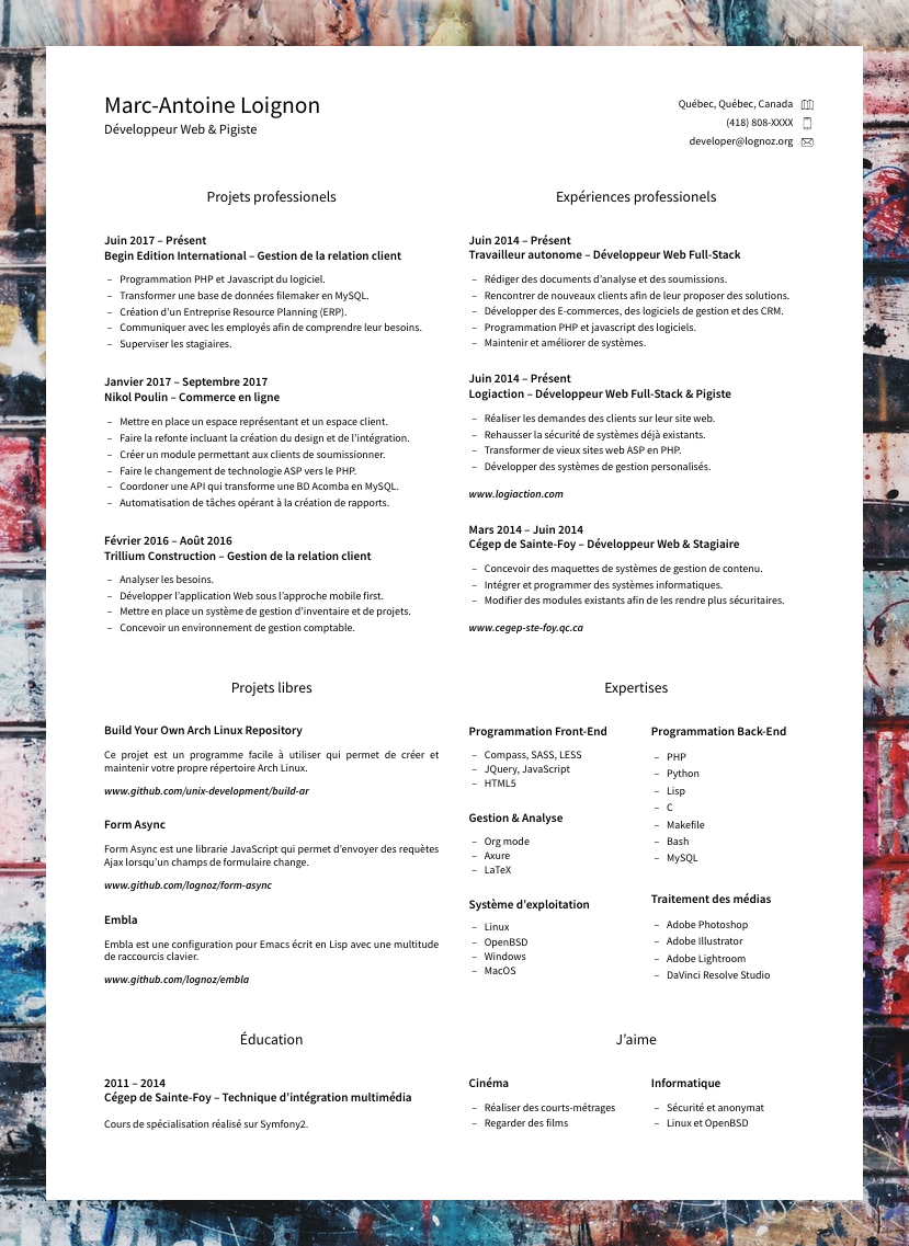 Curriculum vitae example