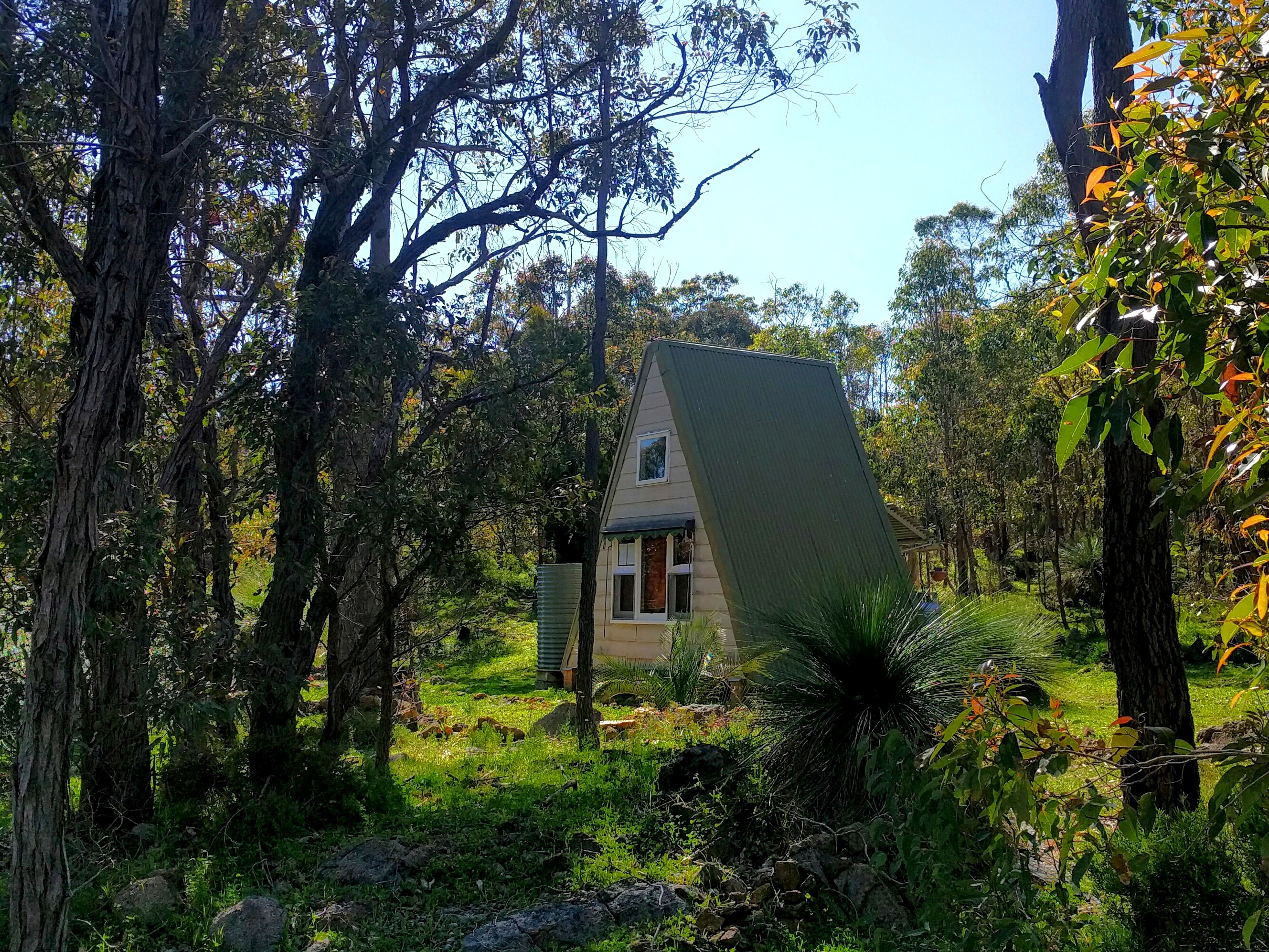 Image of a hut in the forest
