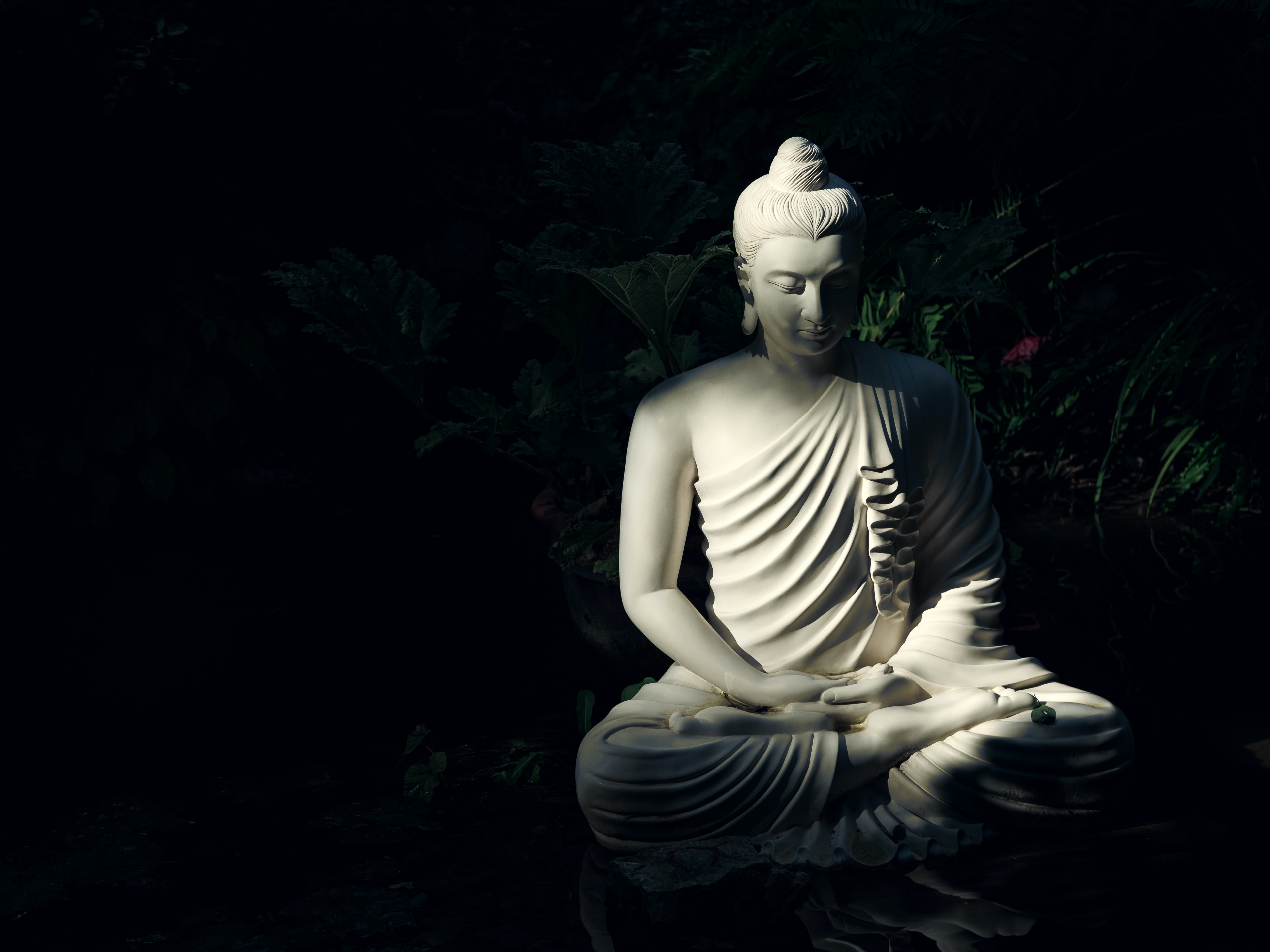 image of white statue ofbuddha with black background