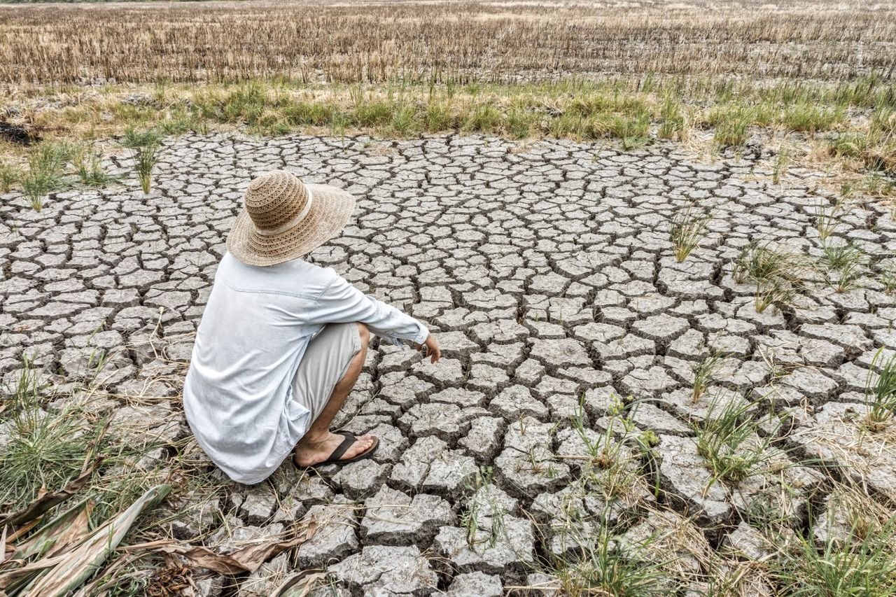 Farmer looks out on parched earth.