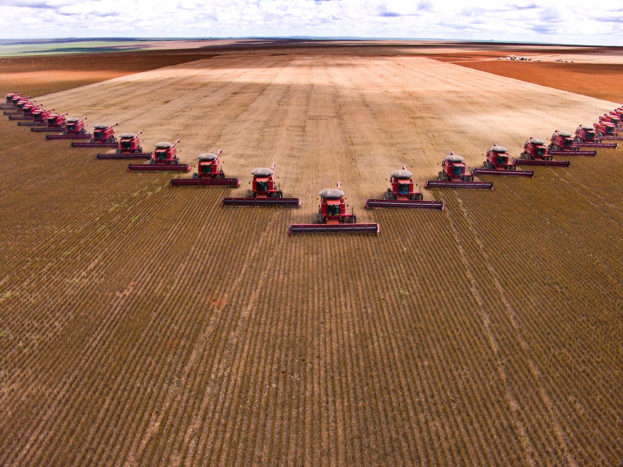 Combine harvesters on a field of wheat.