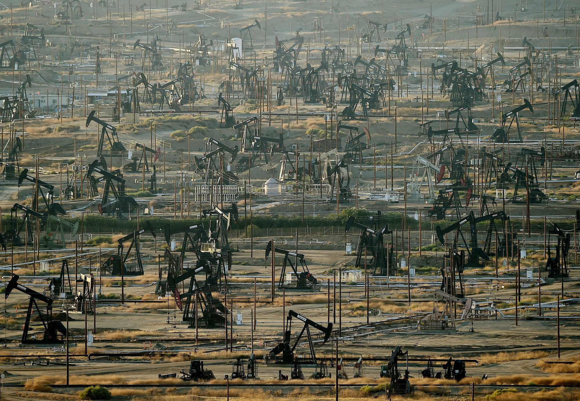 A landscape of oil pumps.