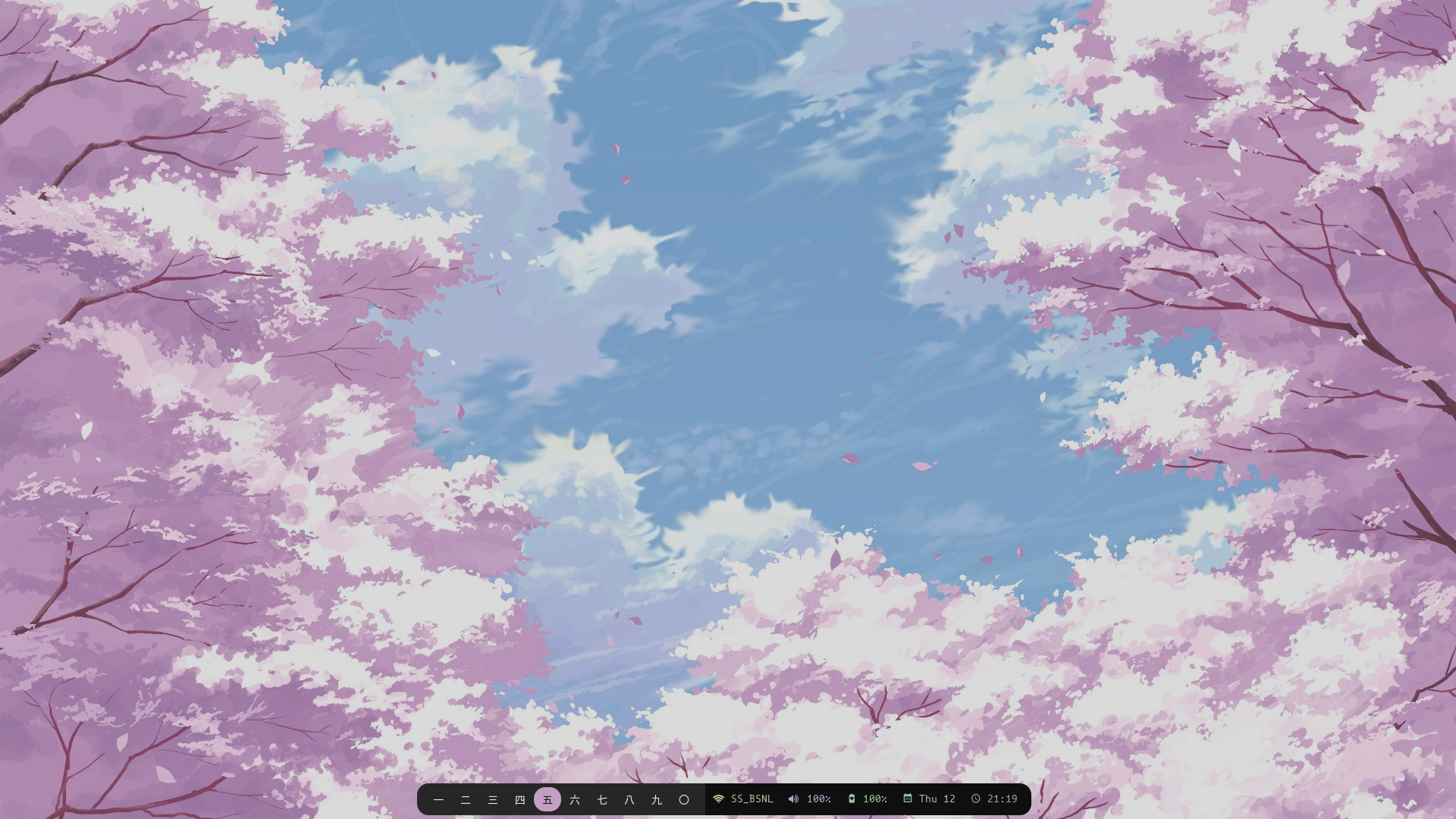 Screenshot of clean system