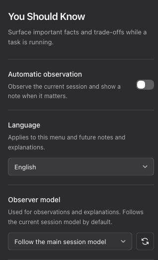 English settings: automatic observation, language, and observer model