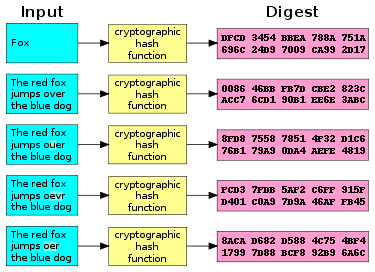 hash_func_in_out