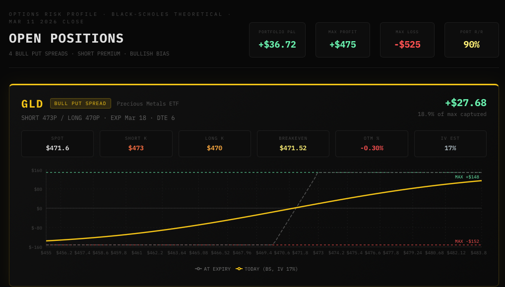 Open Positions — Options Risk Profile