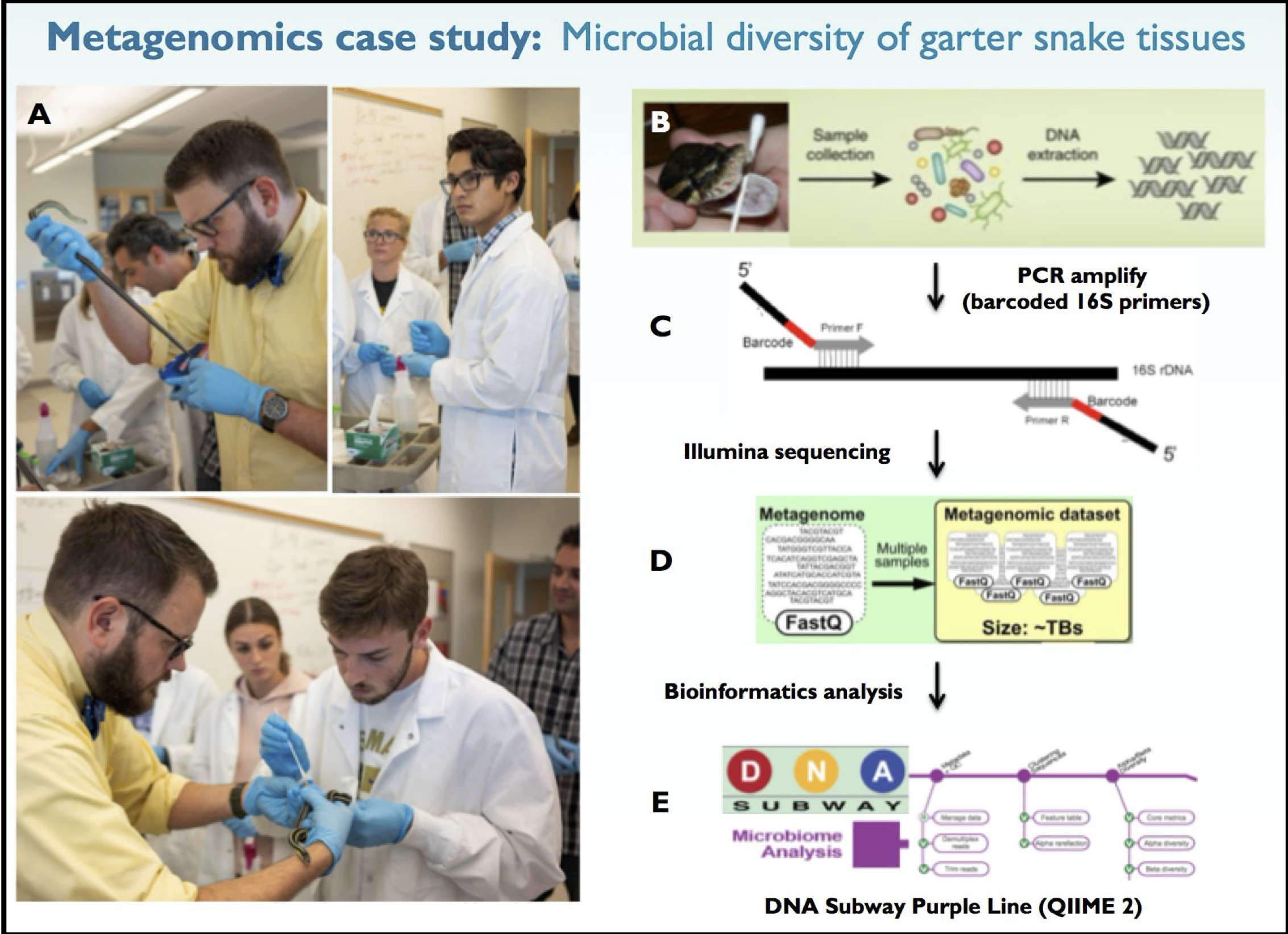Images of experiment and data workflow