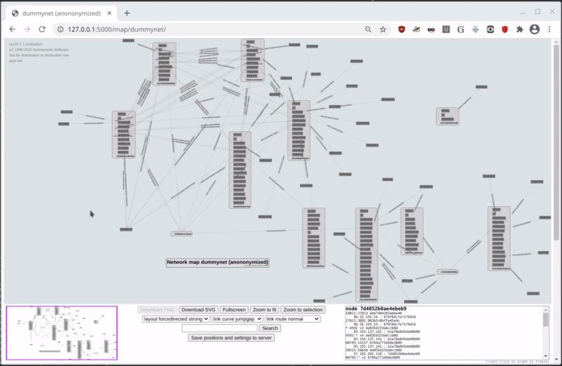 Netmap of a dummy network