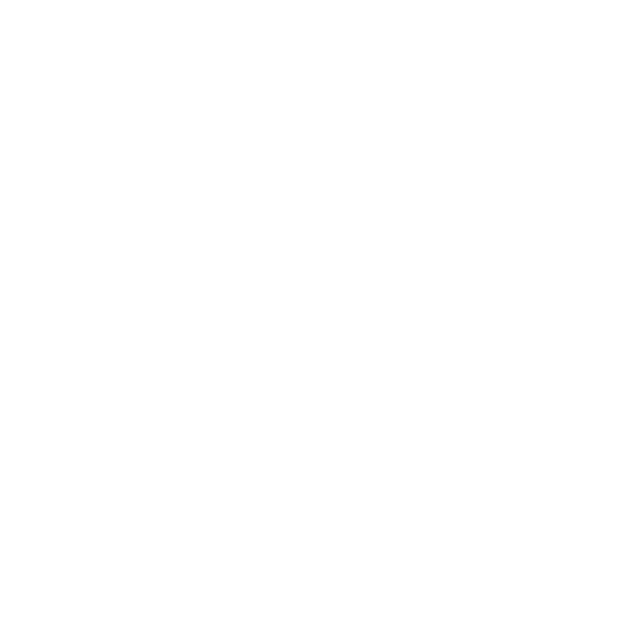 Spirit