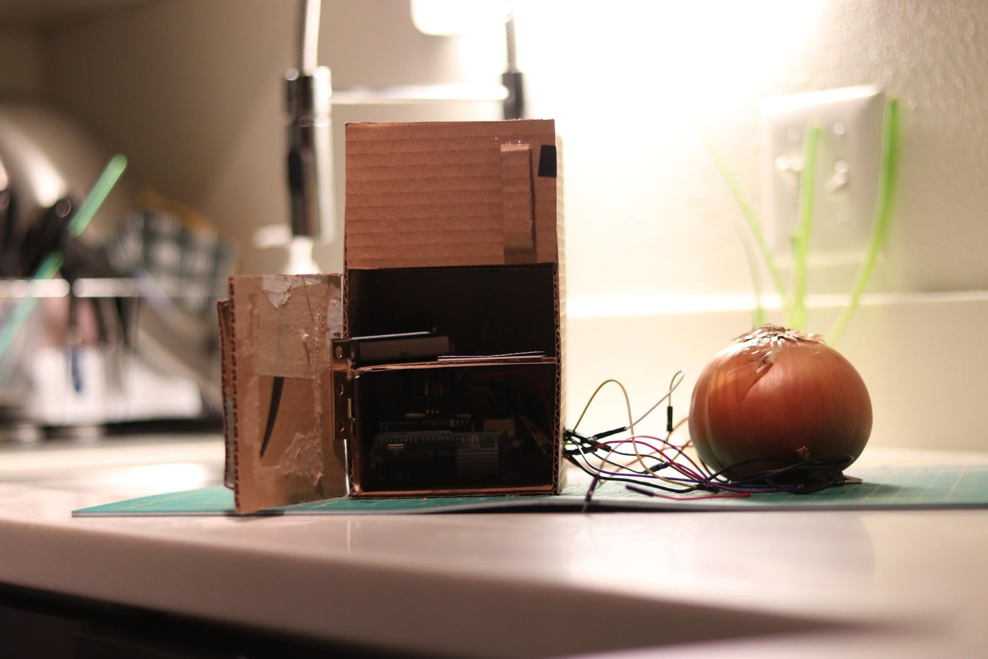 Cardboard fridge with onion keyboard