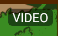 Video badge