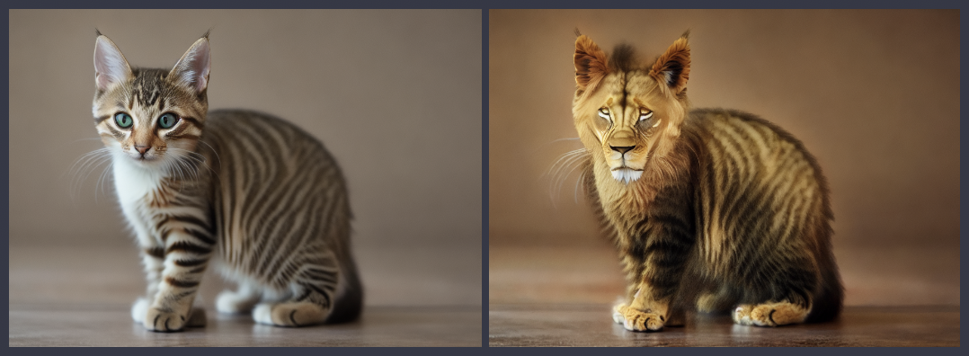 2 images, the first one generated with dreamlike-photoreal-2.0 using the prompt, a cute, tabby cat, and the second one refining that using pix2pix and the prompt, replace the cat with a lion