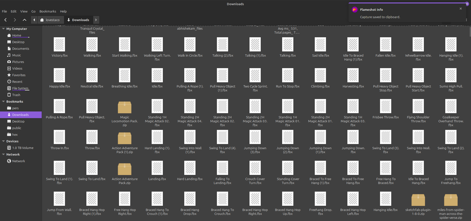 A Downloads folder full of Mixamo FBX files