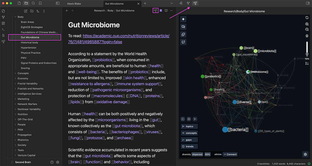 InfraNodus Obsidian plugin page visualization