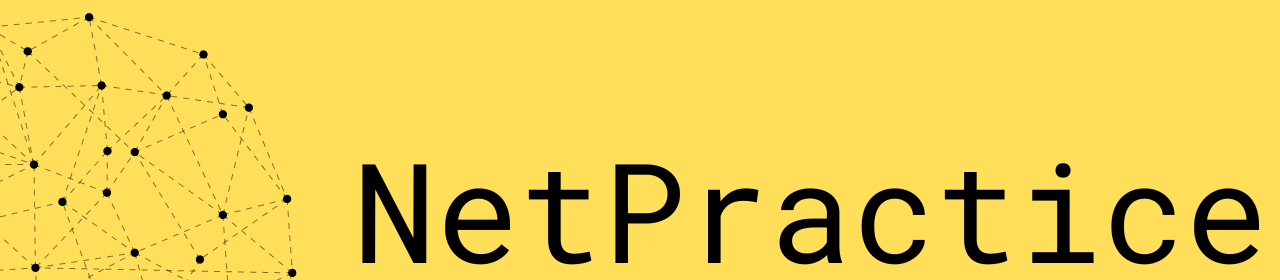 netpractice logo