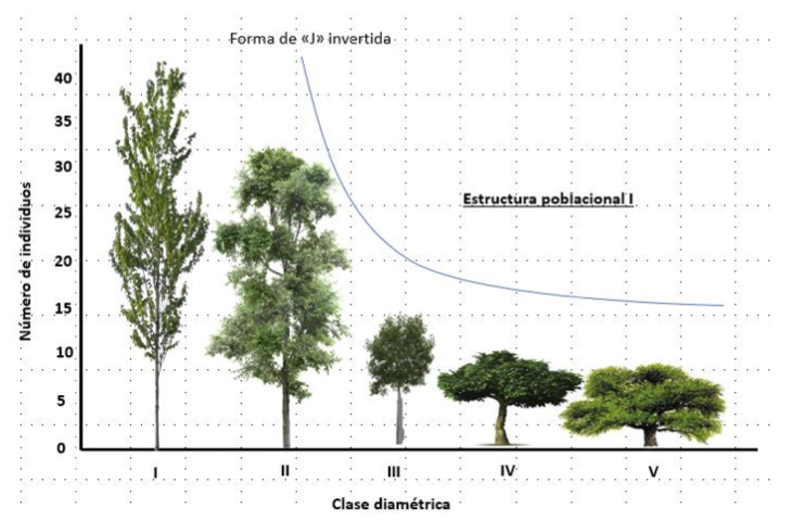 Figura1