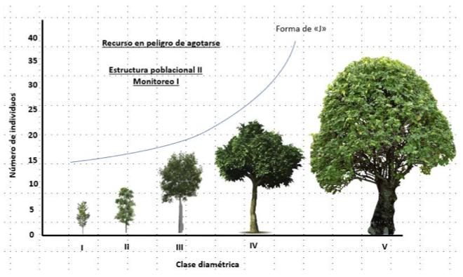 Figura3