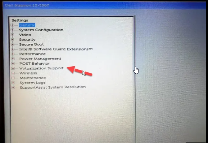 Virtuzation suppoort in the BIOS