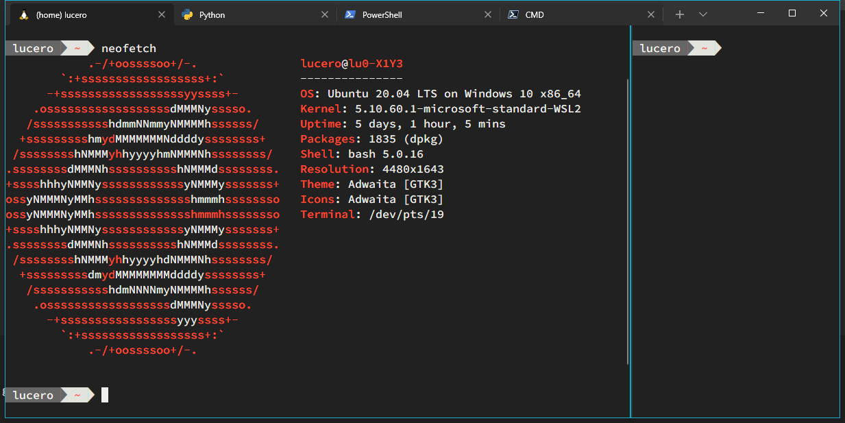 Windows Terminal using my settings