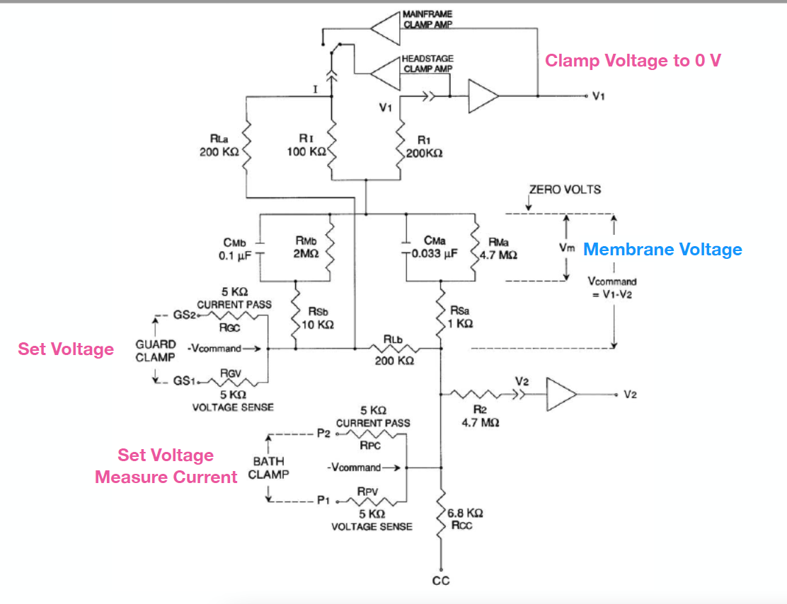 Model cell schematic