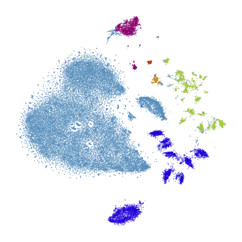 Macosko 2015 mouse retina t-SNE embedding