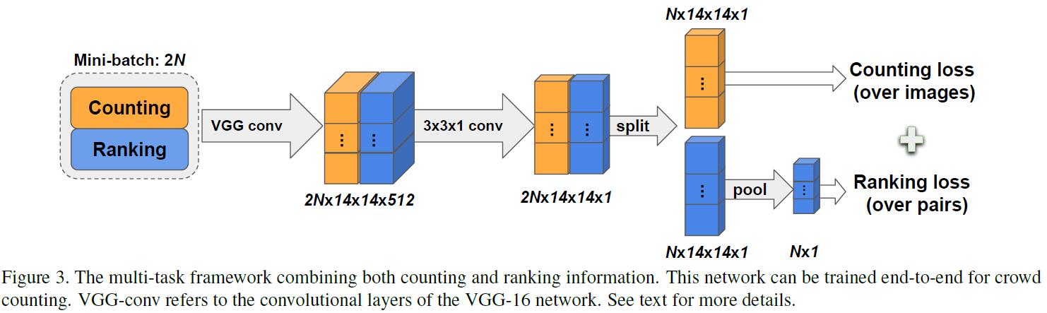 The multi-task framework combining both counting and ranking information