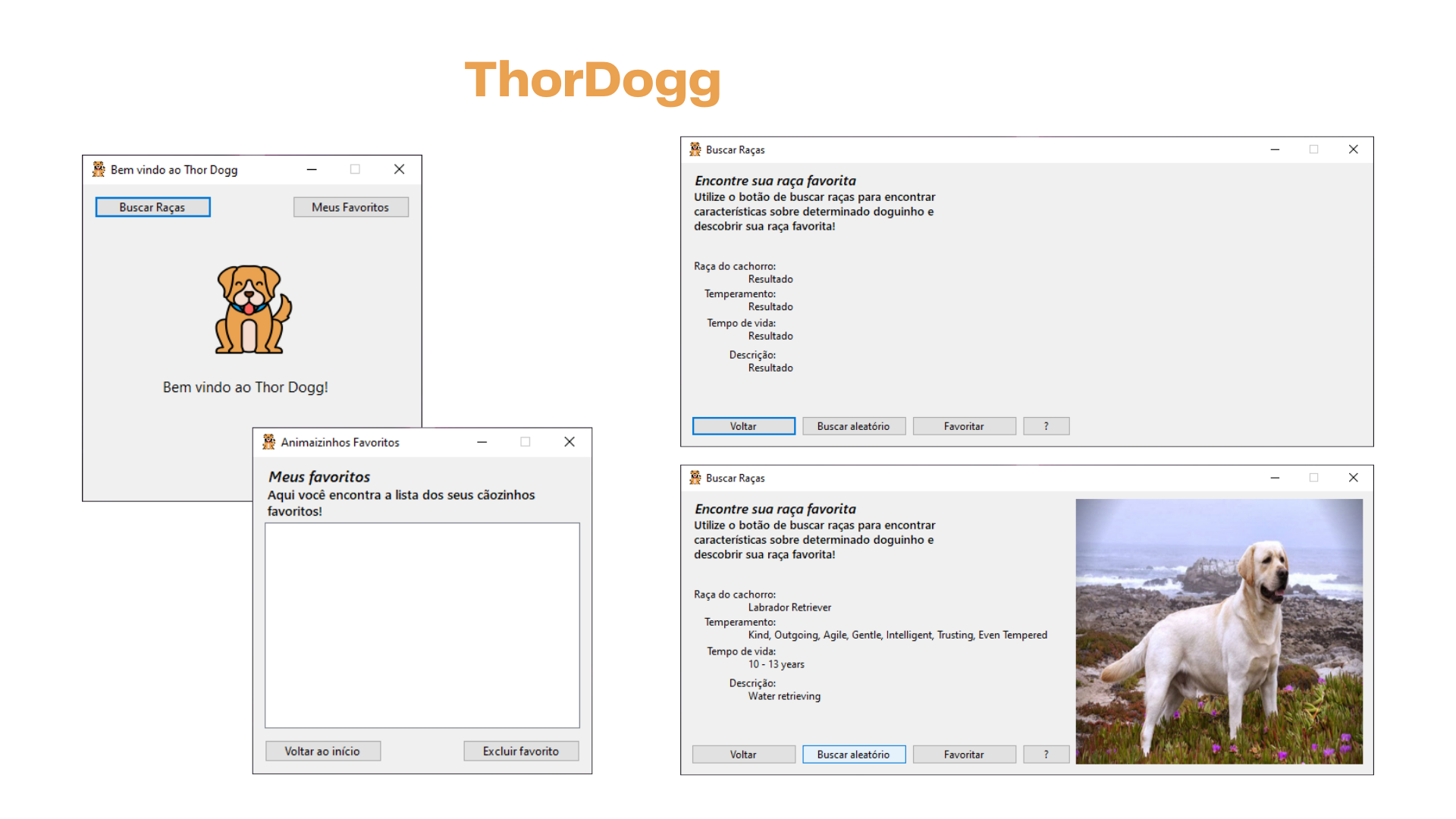 GitHub - luclucs/ThorDogg: Uma aplicação do Windows Forms que consome a ...