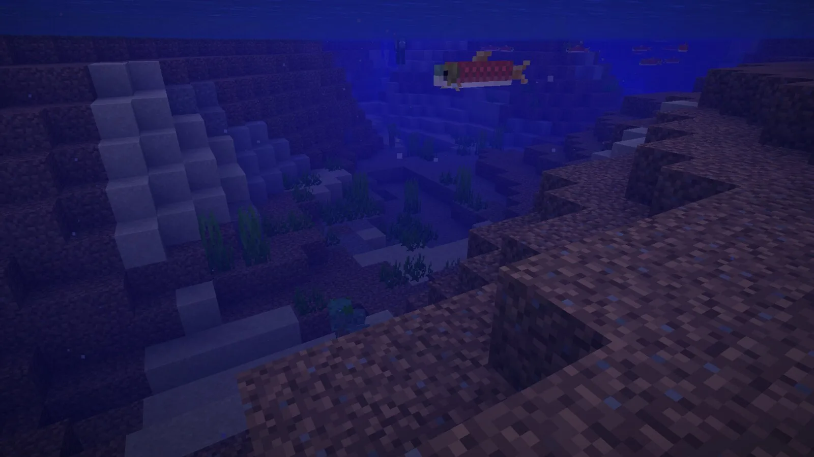 Salmon swimming in a river