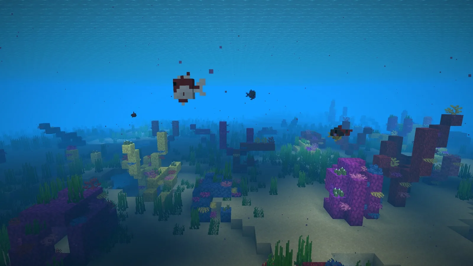 Tropical fish over a warm-ocean coral reef