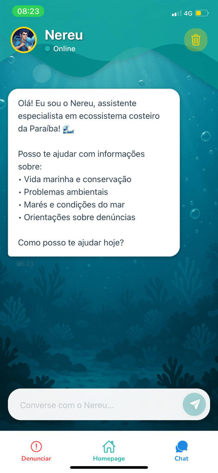 Chat com o assistente IA Nereu