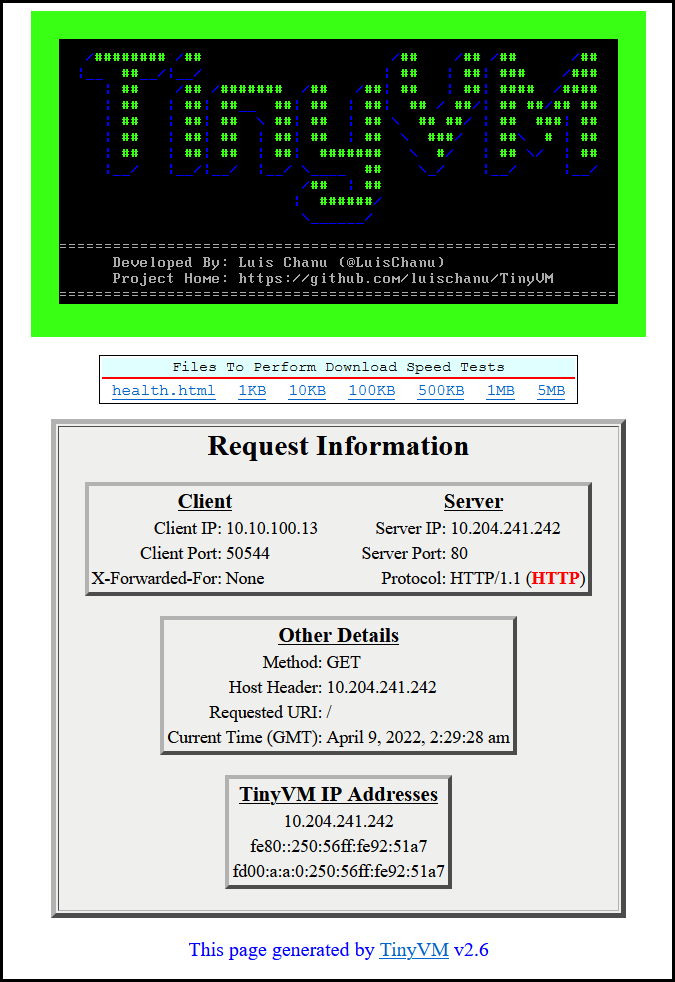 TinyVM IPv4 Screenshot