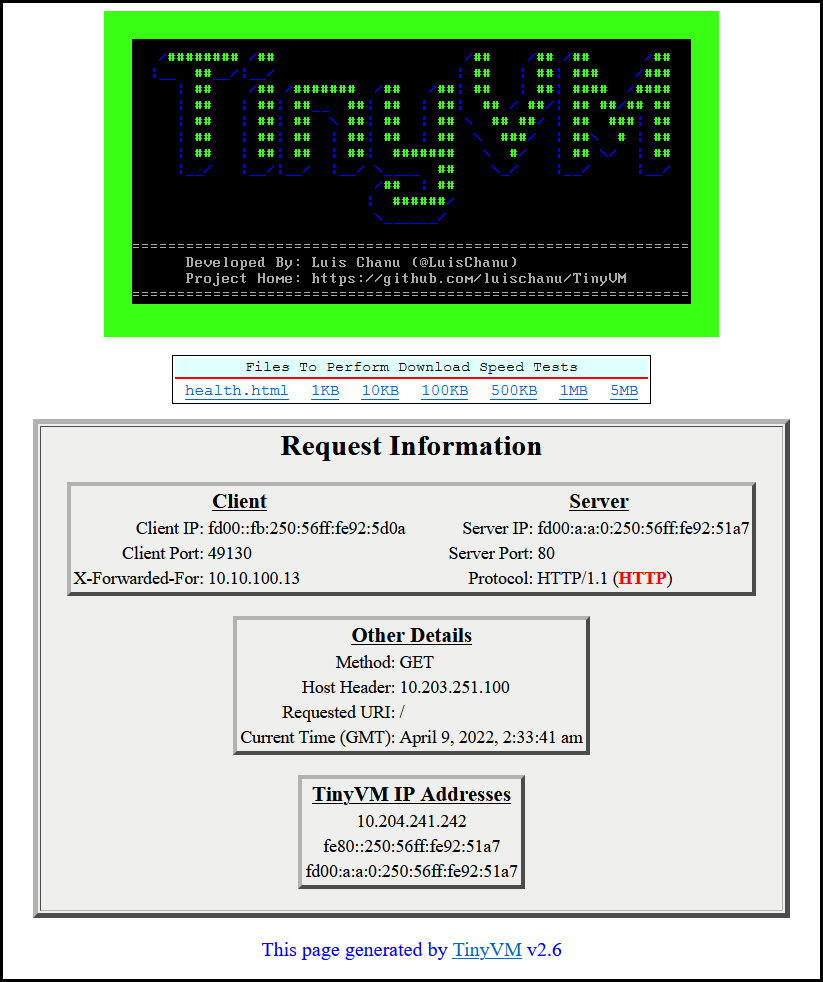TinyVM IPv6 Screenshot
