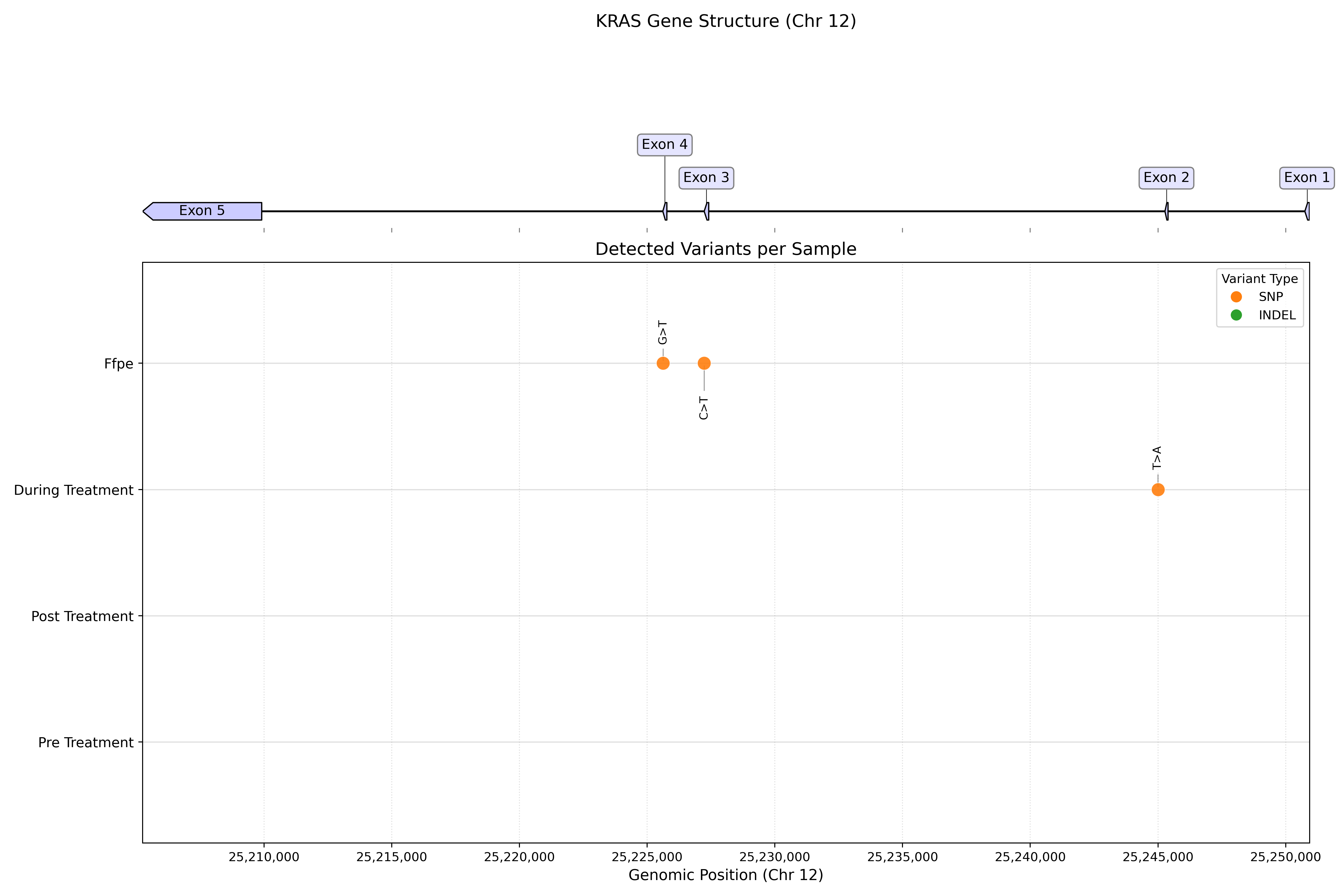 Gene structure and variant visualization