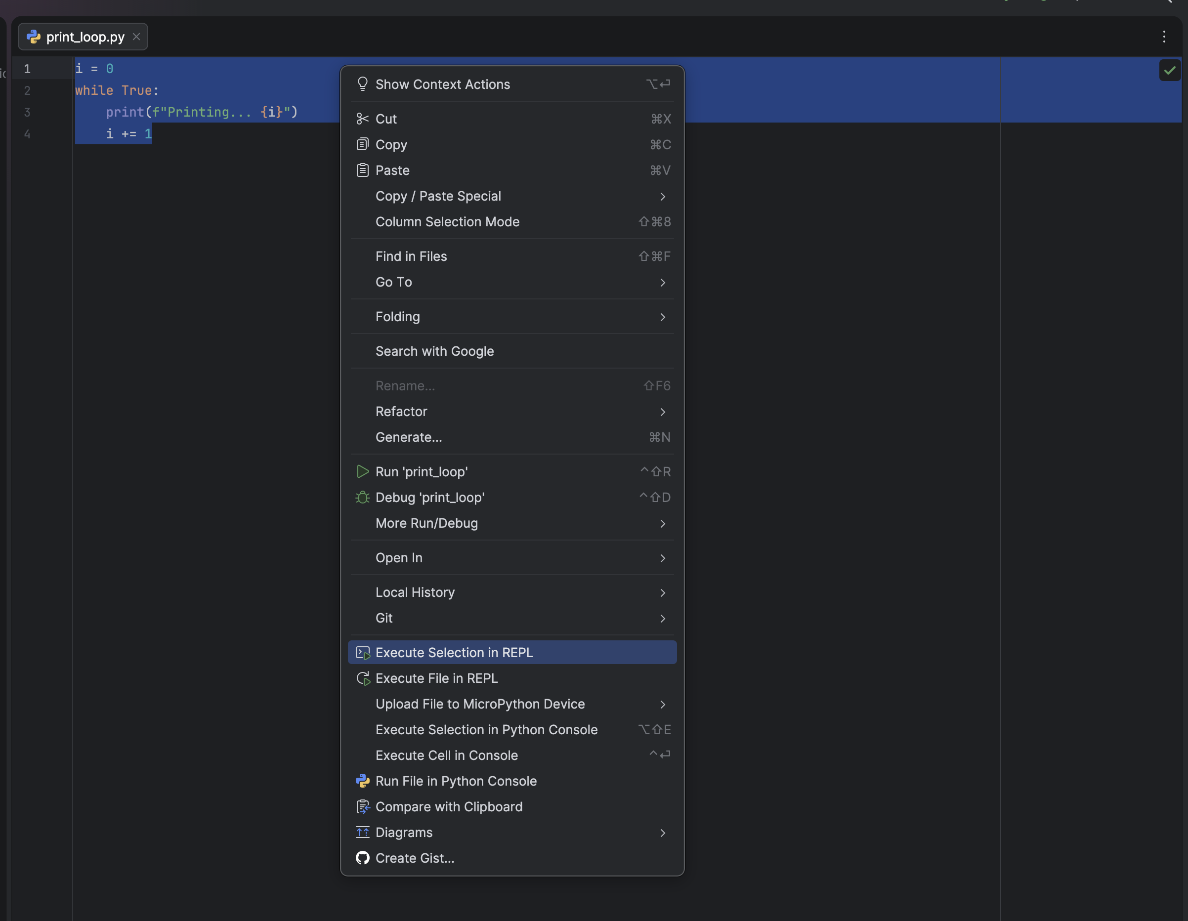 Execute Code Fragment in REPL
