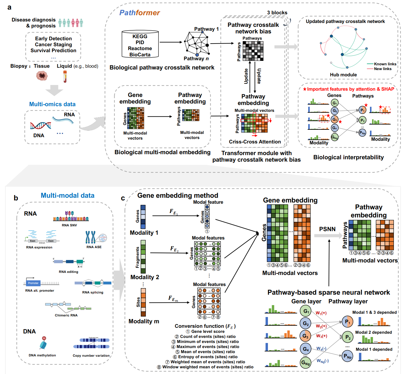 Overview of the Pathformer