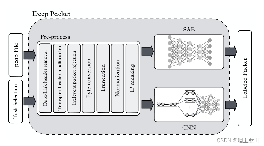 Deep Packet网络架构