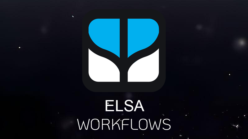Elsa Workflows