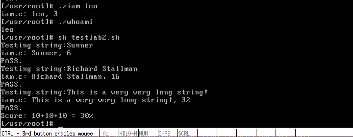 image-20250821223245366