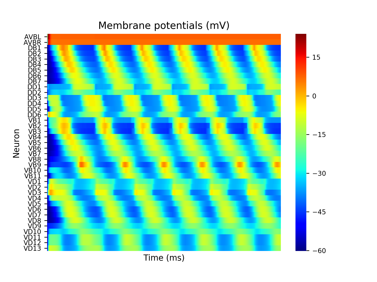 Forward Locomotion Circuit Optimization