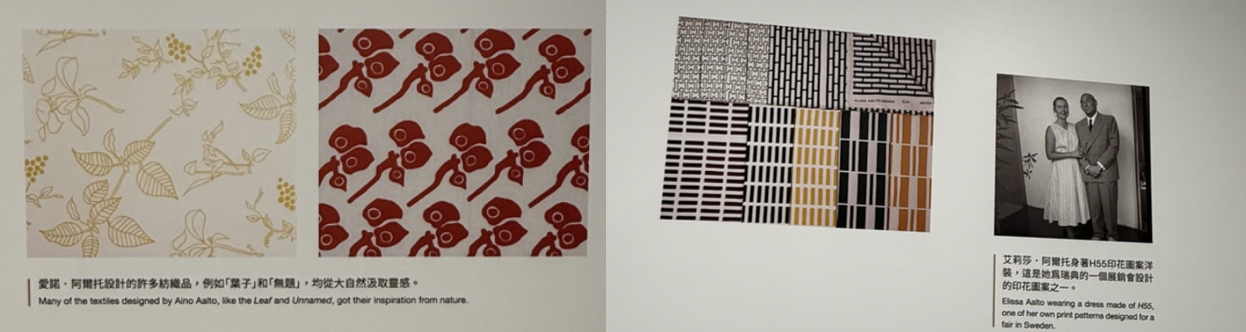 愛諾與愛麗莎的作品