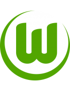 Wolfsburg badge