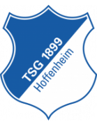Escudo de Hoffenheim