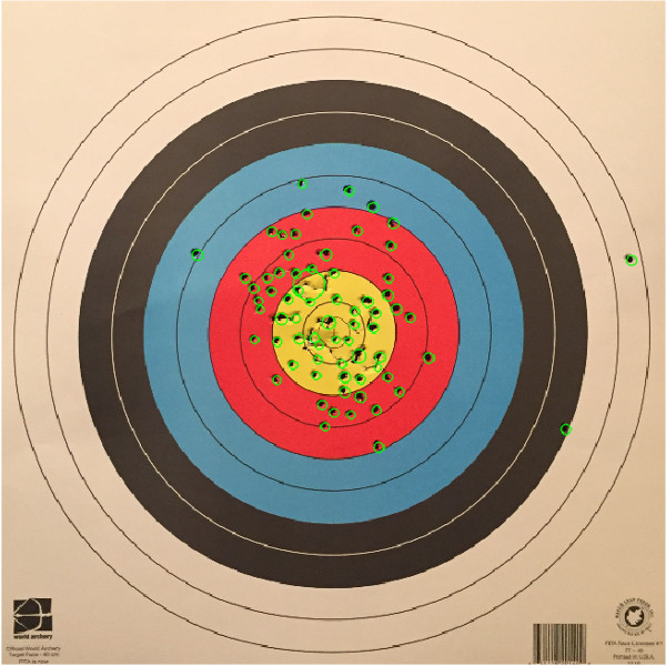 Sample image of target with identified shots circled