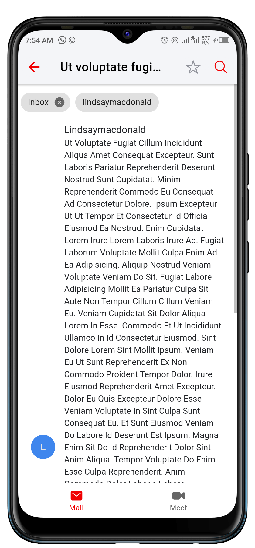 This image displays the contents of an email for Gmeil Clone app